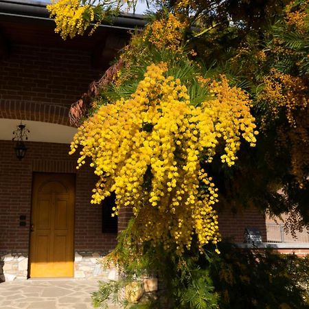 Villa Anna 蒙卡列里 外观 照片
