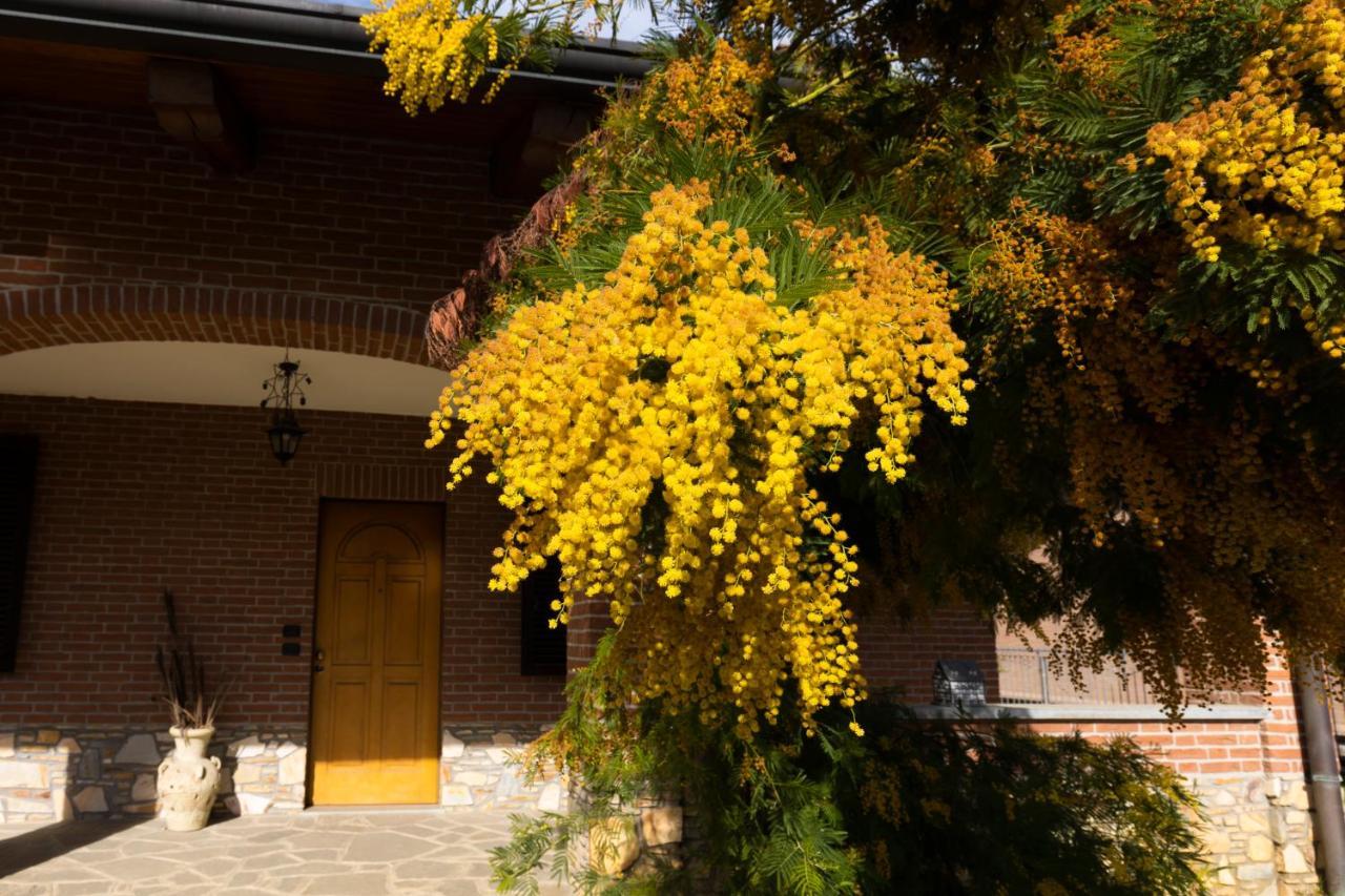 Villa Anna 蒙卡列里 外观 照片